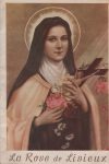 Rose de Lisieux (La) - Le Caire