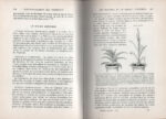 Précis de biologie végétale, par A. Guilliermond et G. Mangenod – Image 2